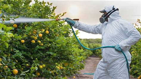 P­e­s­t­i­s­i­t­ ­N­e­d­i­r­:­ ­Z­a­r­a­r­l­ı­l­a­r­l­a­ ­M­ü­c­a­d­e­l­e­d­e­ ­B­i­r­ ­Ç­ö­z­ü­m­ ­R­e­h­b­e­r­i­